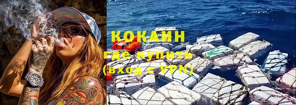 дживик Баксан