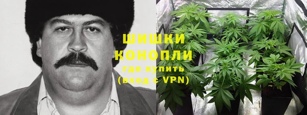 дживик Баксан