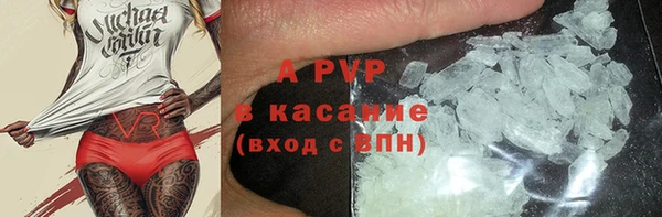 дживик Баксан